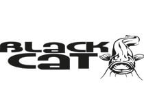 Black Cat