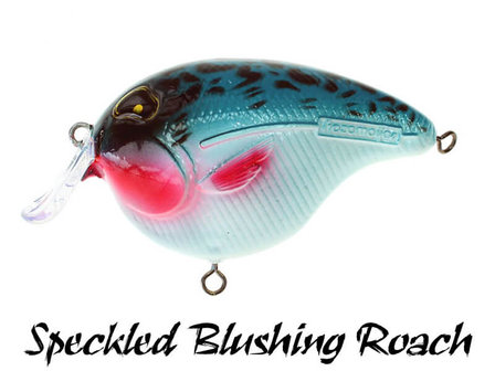 Fat Izy Plug Speckled Blushing Roach | Rozemeijer