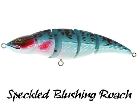 Fatal Attraction Speckled Blushing Roach | Rozemeijer