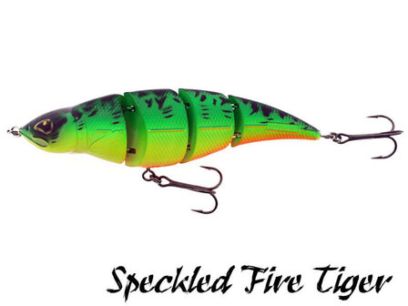 Fatal Attraction Speckled Fire Tiger | Rozemeijer