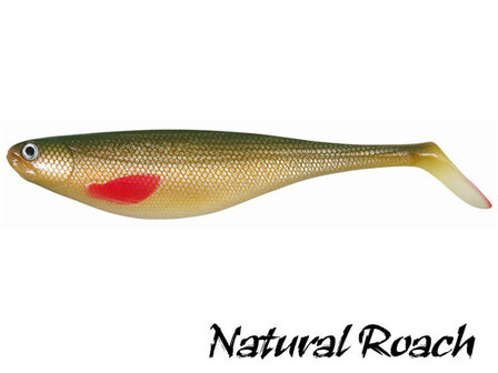 Flat Shad Softbait 16,5 cm. | Natural Roach