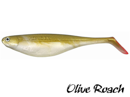 Flat Shad Softbait 16,5 cm. | Olive Roach