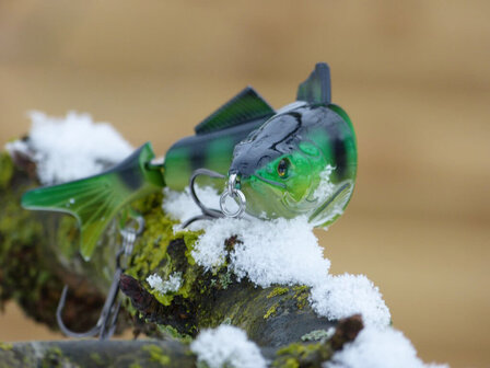 Winter snoek plug