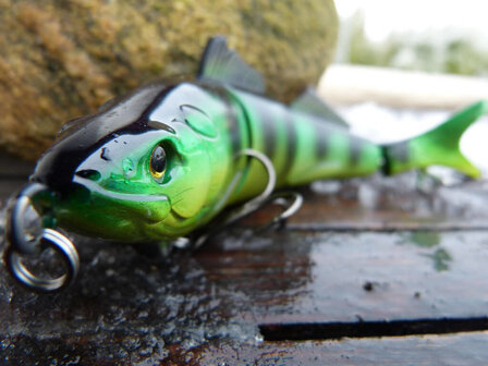 Snoek Pluggen Corrigator | Jenzi