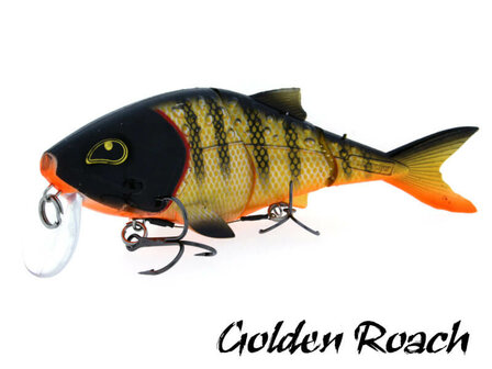 Rozemeijer Sweet Meat Softbait | Golden Roach