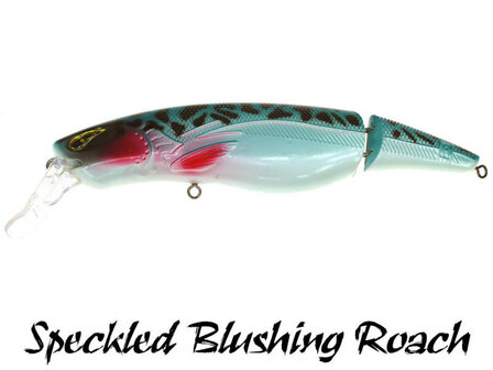 Rozemeijer Tail Swinger Plug | Speckled Blushing Roach