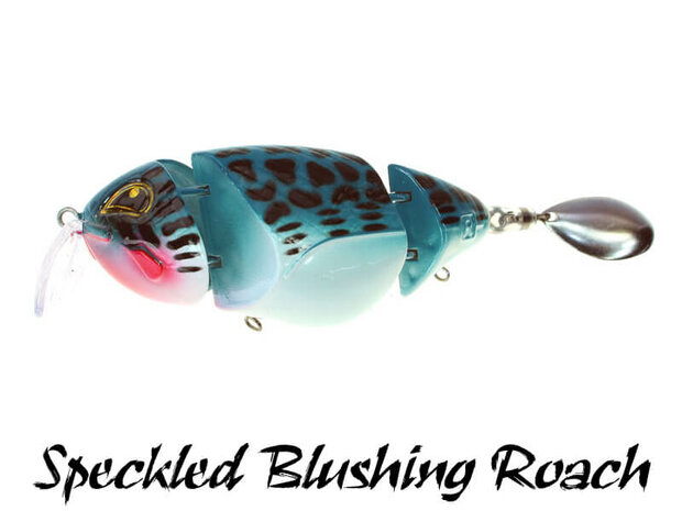 Loki Plug | Speckled Blushing Roach