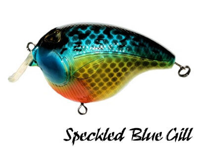 Fat Izy Plug Speckled Blue Gill | Rozemeijer