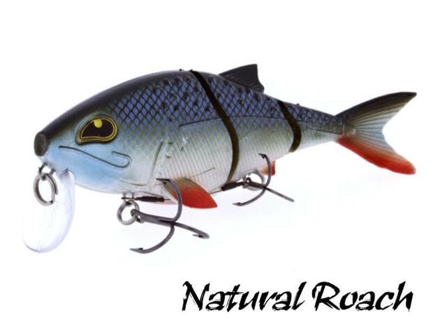 Rozemeijer Sweet Meat Softbait | Natural Roach