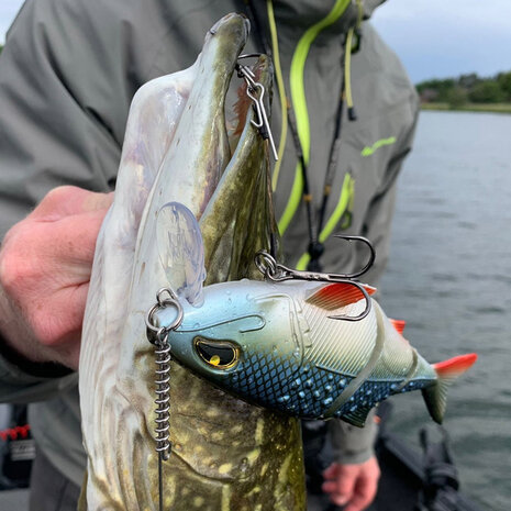 Rozemeijer Sweet Meat Softbait | Natural Roach Snoek