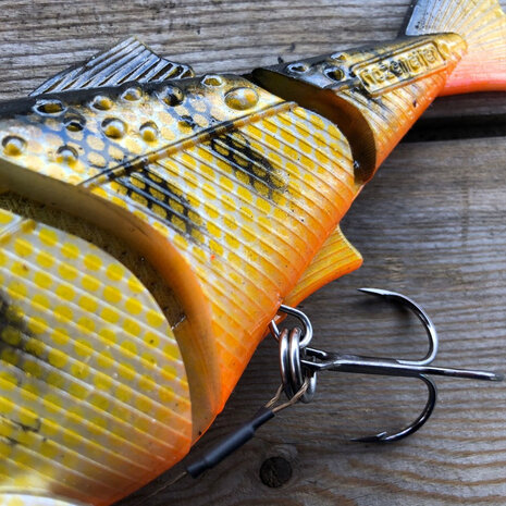 Sweet Meat Softbait Detail
